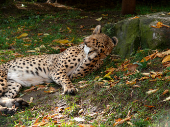 Similar image 315609