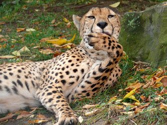 Similar image 315615