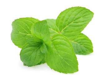 Similar image 315630