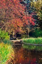 Similar image 315633