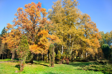 Similar image 315634