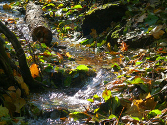 Similar image 315650