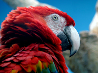 Similar image 315652