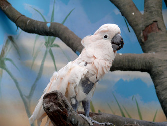 Similar image 315655