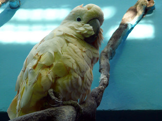 Similar image 315657