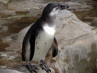 Similar image 315658