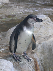 Similar image 315659