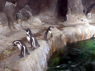 Similar image 315660