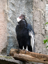 Similar image 315663