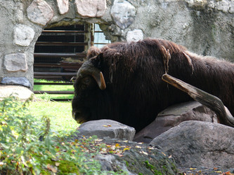 Similar image 315667