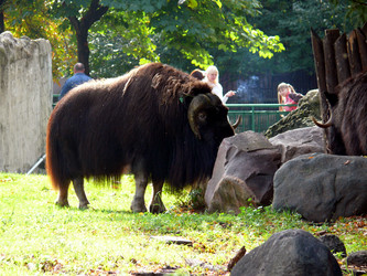 Similar image 315669