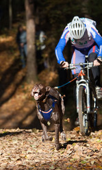 Similar image 315701