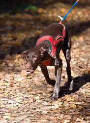 Similar image 315703