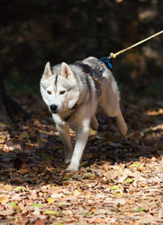 Similar image 315705