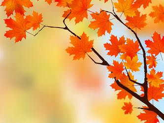 Similar image 315742