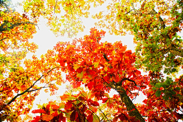 Similar image 315746