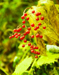 Similar image 315747