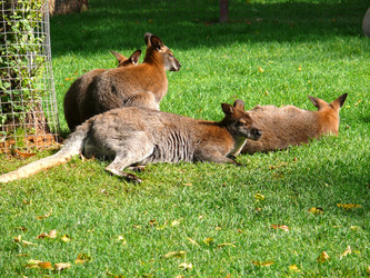 Similar image 315761