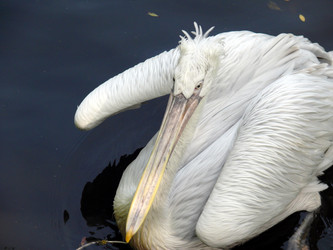 Similar image 315769