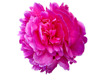 Similar image 315790