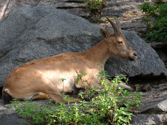 Similar image 315802