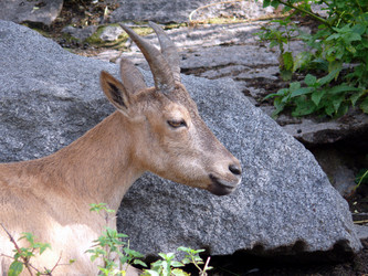 Similar image 315803