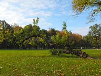 Similar image 315804