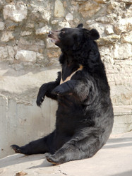 Similar image 315806