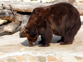 Similar image 315813