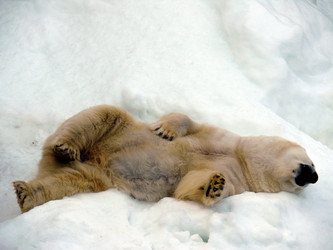 Similar image 315816