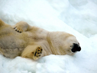 Similar image 315818