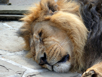 Similar image 315823