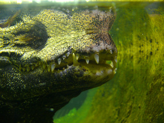 Similar image 315825