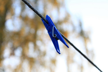 Similar image 315845