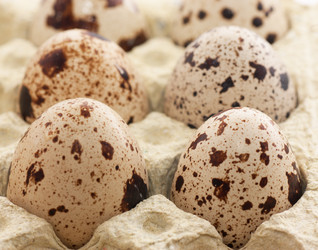 Similar image 315905