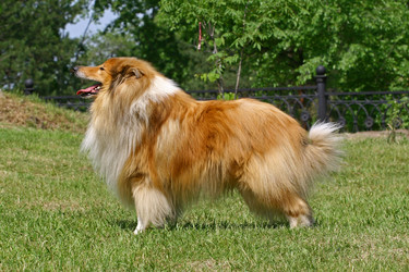 Similar image 315974