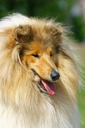 Similar image 315978