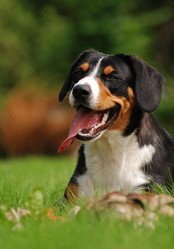 Similar image 315983