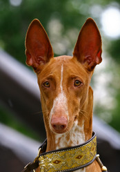 Similar image 315996