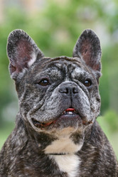 Similar image 316010