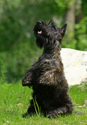 Similar image 316011