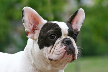 Similar image 316017