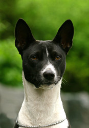 Similar image 316018