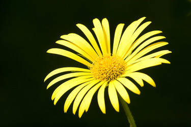 Similar image 316020