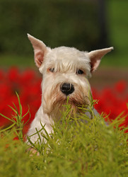 Similar image 316043