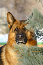 Similar image 316045