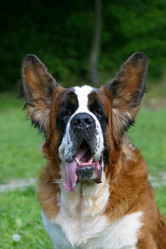 Similar image 316048