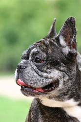 Similar image 316053