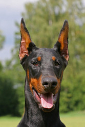 Similar image 316057