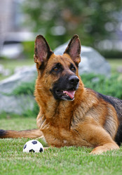 Similar image 316059